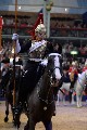Cavalry - 00251